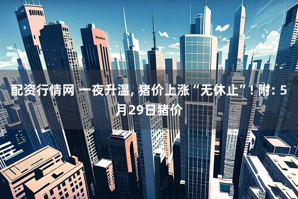 配资行情网 一夜升温, 猪价上涨“无休止”! 附: 5月29日猪价